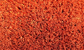 门球场专用卷曲草(不充砂) 　　门球场专用网丝草(充砂) 　　一、门球介绍 　　门球起源于法国，